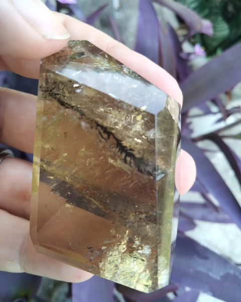 Citrine quartz with dendrite branch Freeform