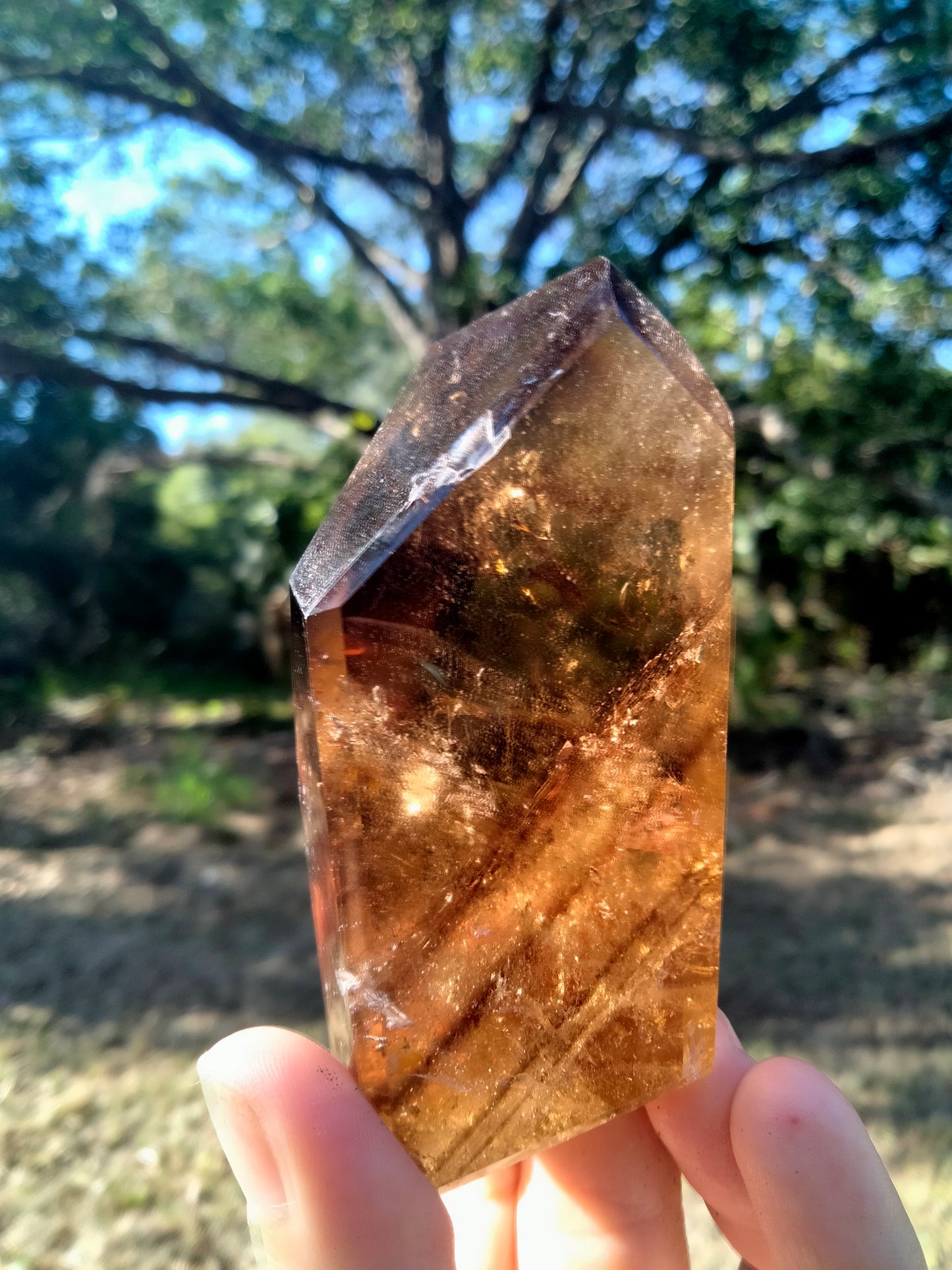 Citrine & Smokey Quartz phantoms, rainbows, freeform