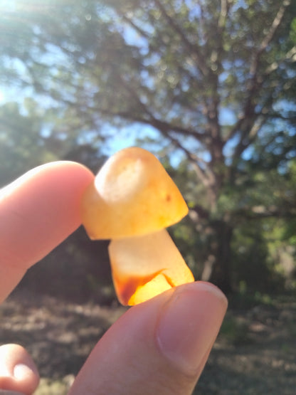 Agate Mushroom Crystal