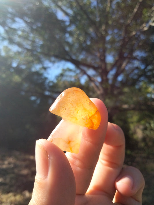 Agate Mushroom Crystal