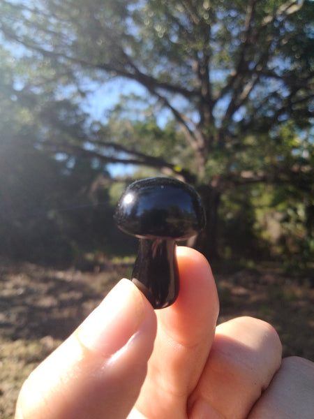 Black obsidian Crystal mushroom