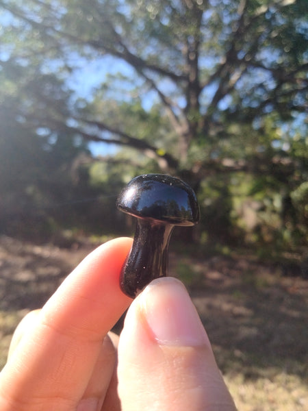 Black obsidian Crystal mushroom