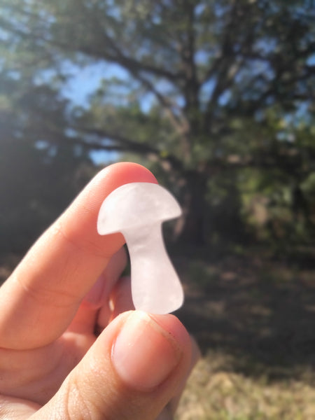 Clear Quartz Crystal Mushroom