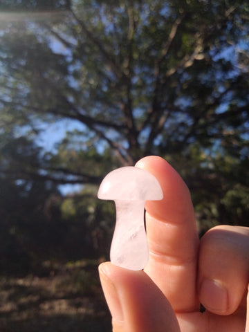 Clear Quartz Crystal Mushroom