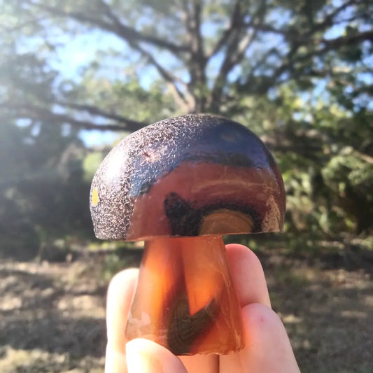 Agate Mushroom Crystal