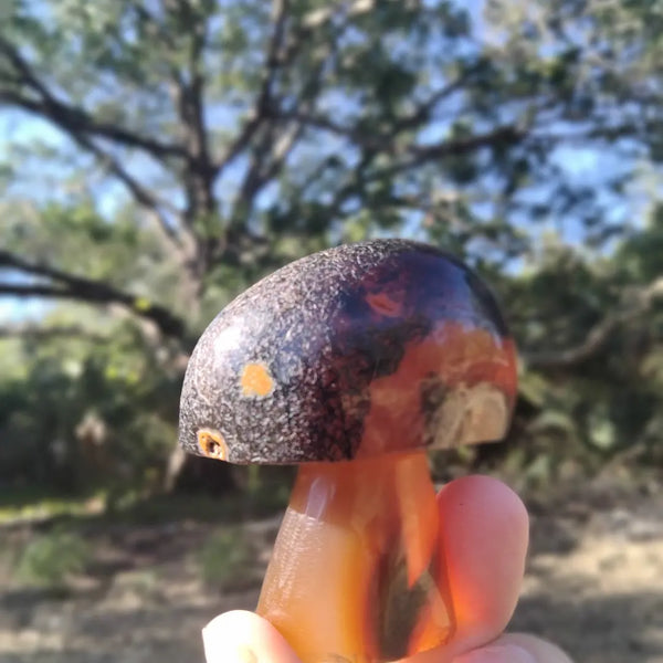 Agate Mushroom Crystal