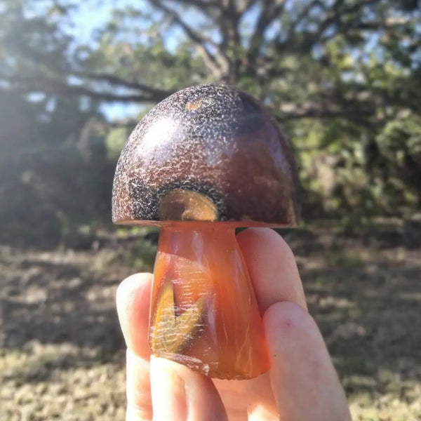 Agate Mushroom Crystal