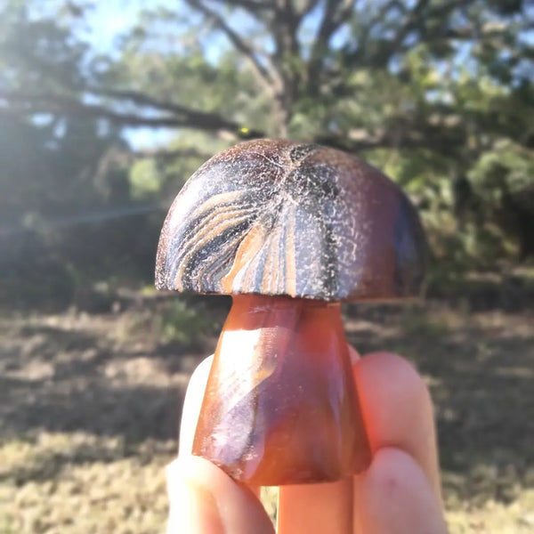 Agate Mushroom Crystal