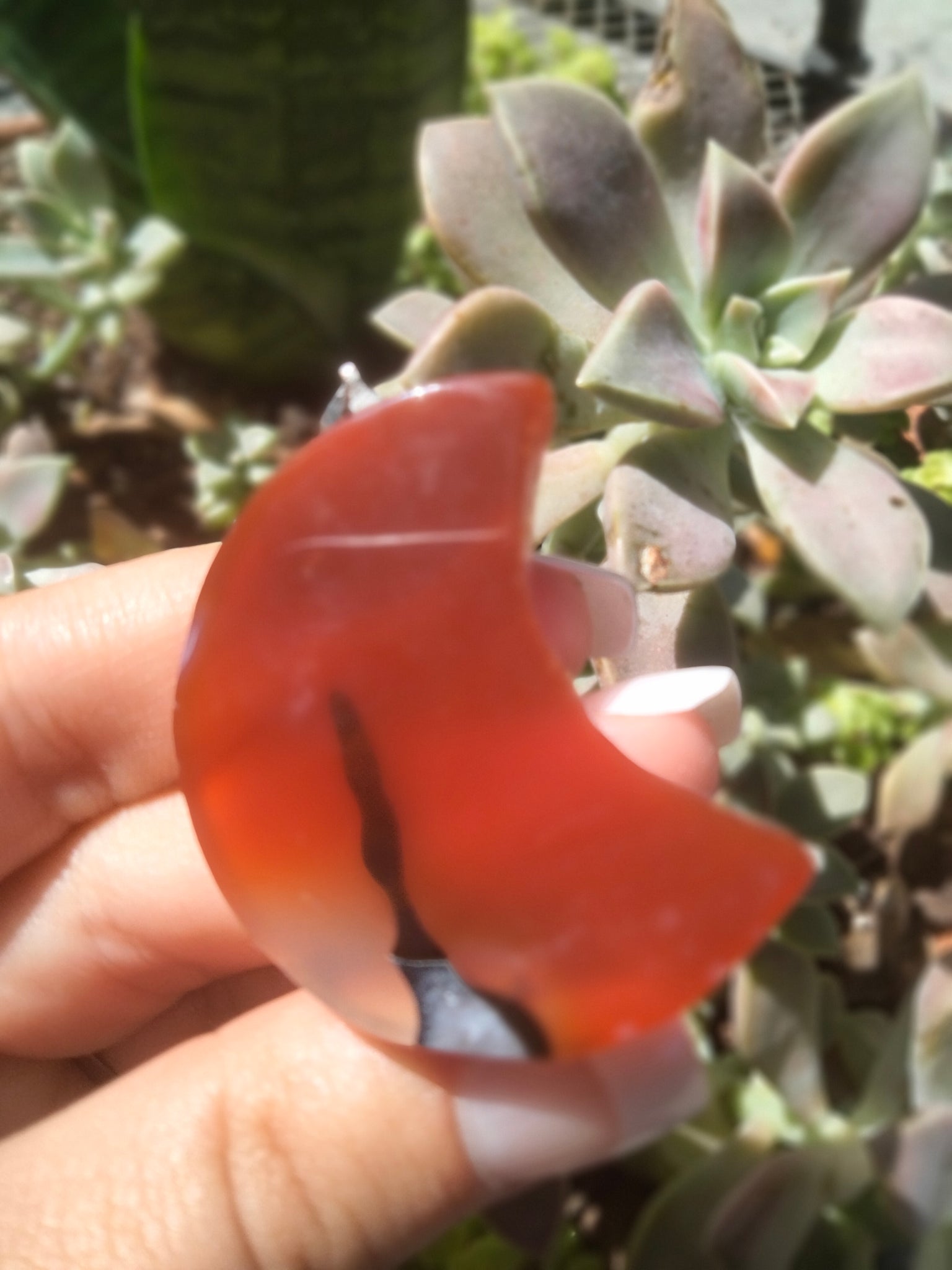 Carnelian Jasper moon pendent