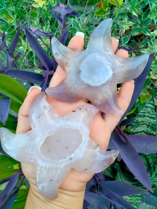 Starfish Agate Crystal Carving free shipping