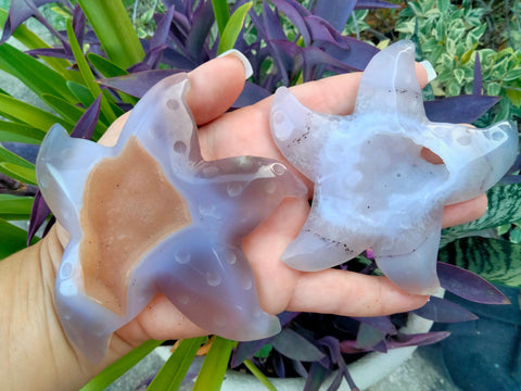 Starfish Agate Crystal Carving free shipping