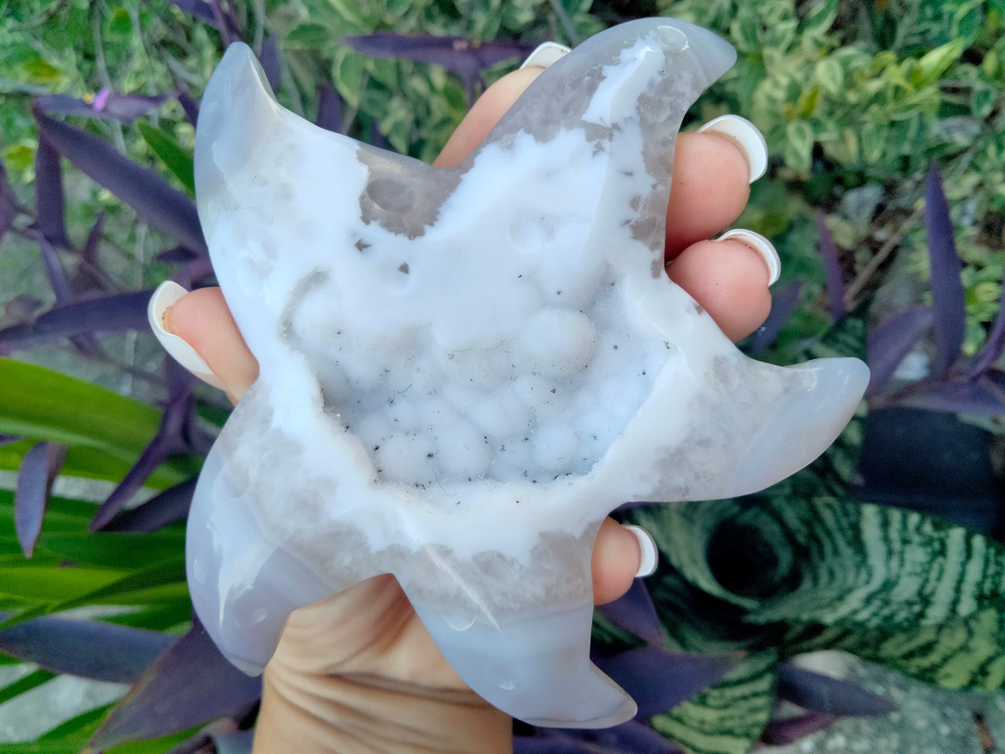 Starfish Agate Crystal Carving free shipping