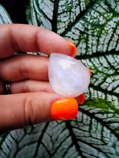 Moonstone Teardrop