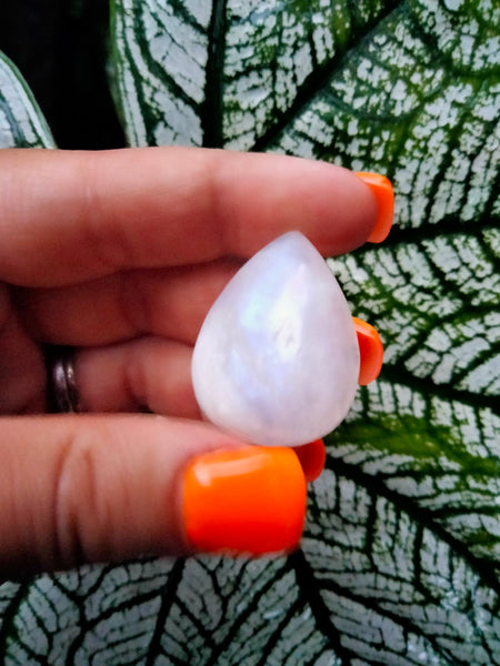 Moonstone Teardrop