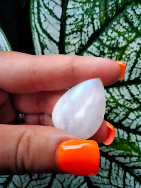 Moonstone Teardrop