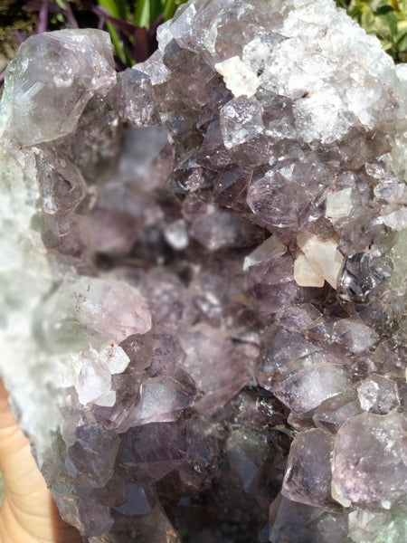 Amethyst Freeform 7lb