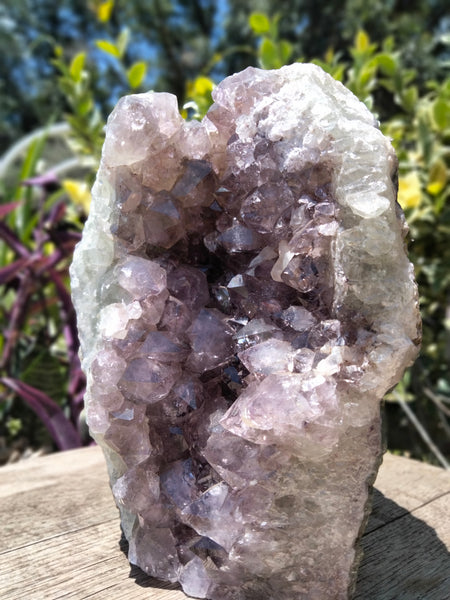 Amethyst Freeform 7lb