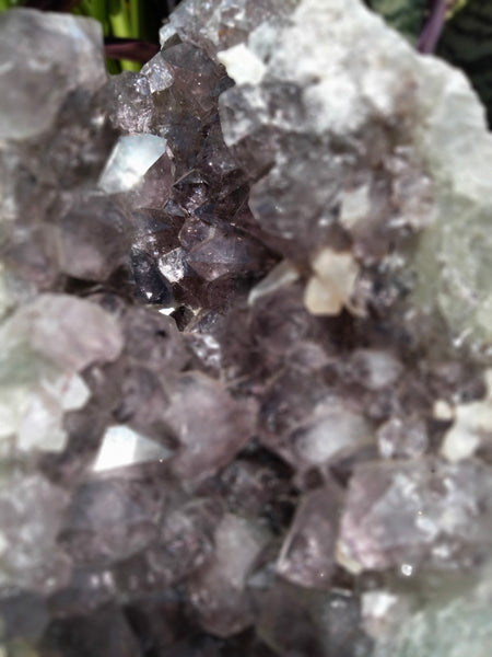 Amethyst Freeform 7lb