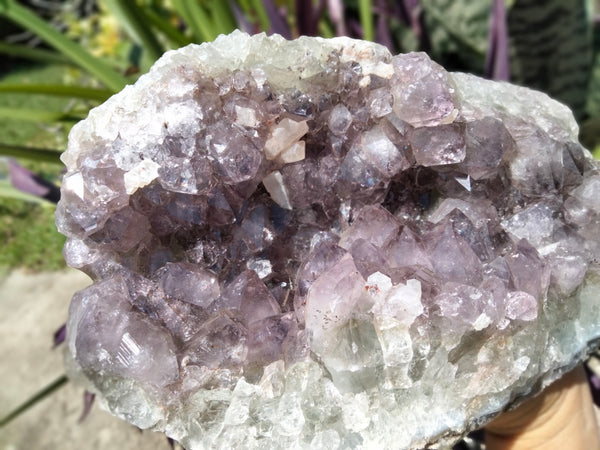 Amethyst Freeform 7lb