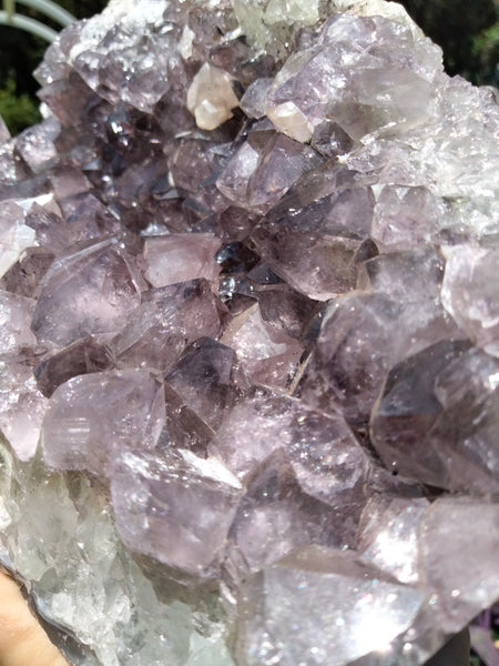 Amethyst Freeform 7lb