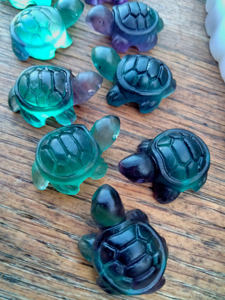 Crystal Turtle