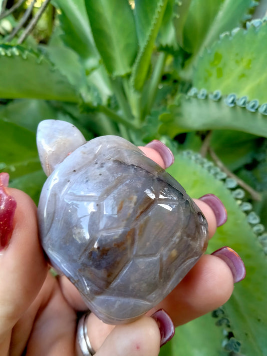 Agate Turtle with Dendrite carving