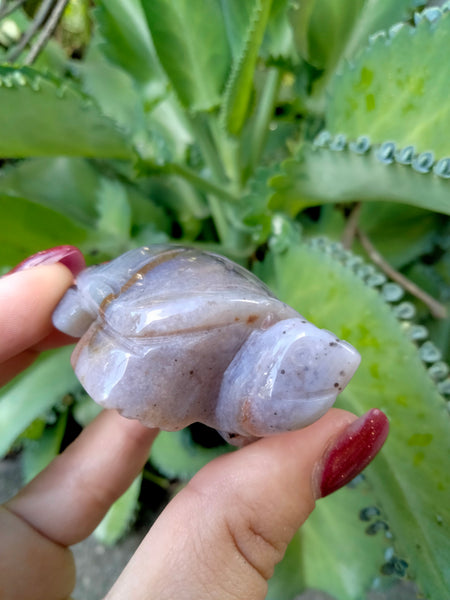 Agate Turtle with Dendrite carving