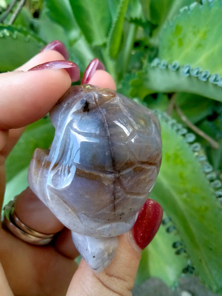 Agate Turtle with Dendrite carving