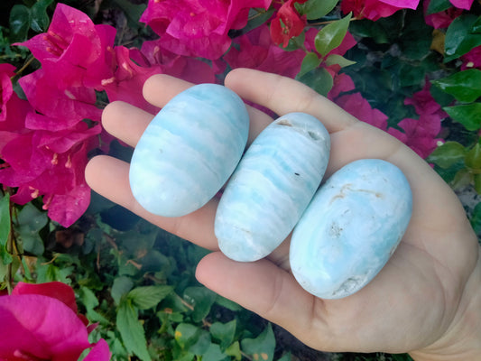 Aragonite Palmstone