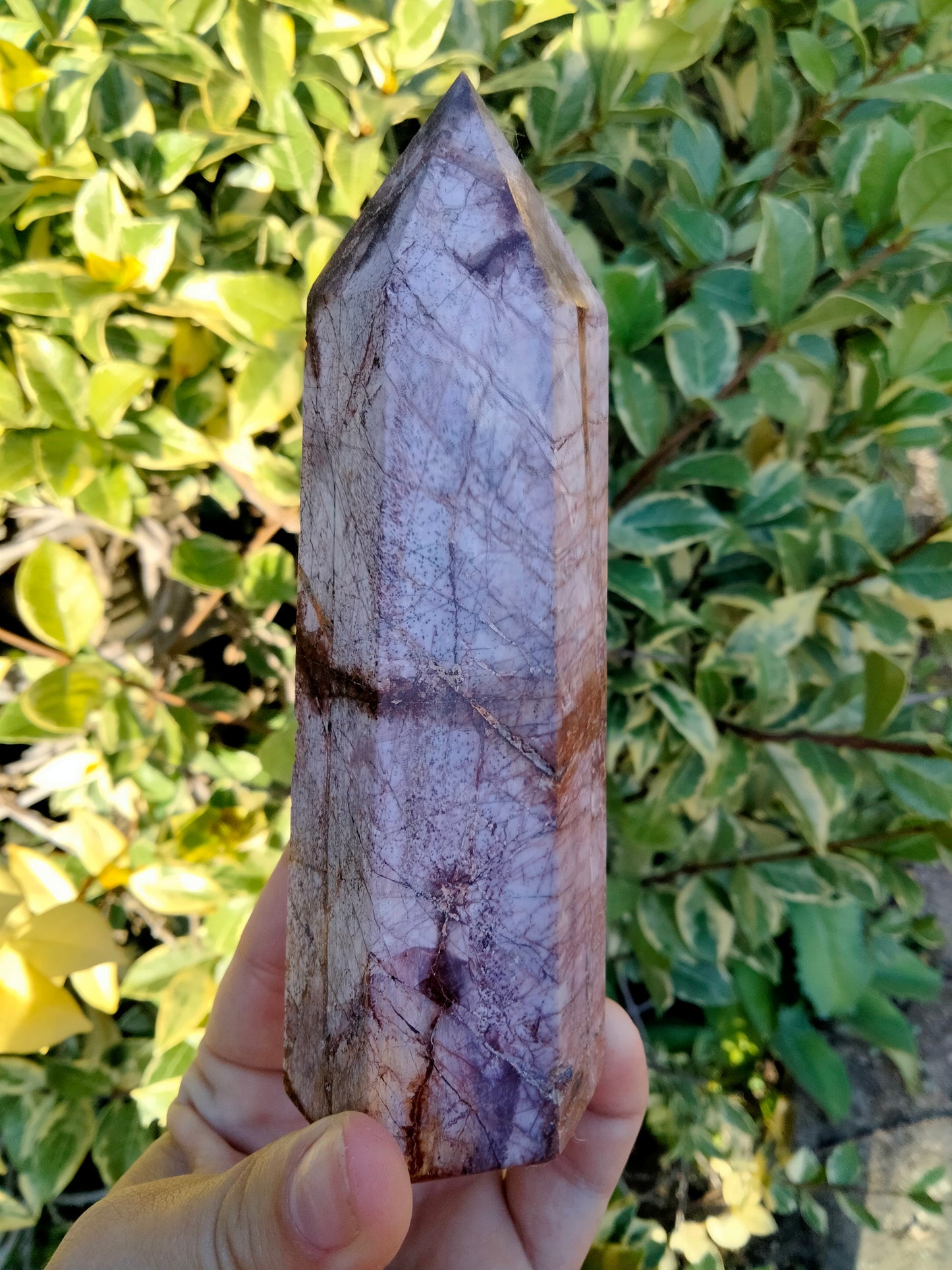 Cherry Creek Jasper Tower