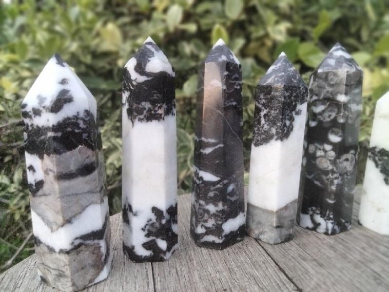 Zebra Jasper point
