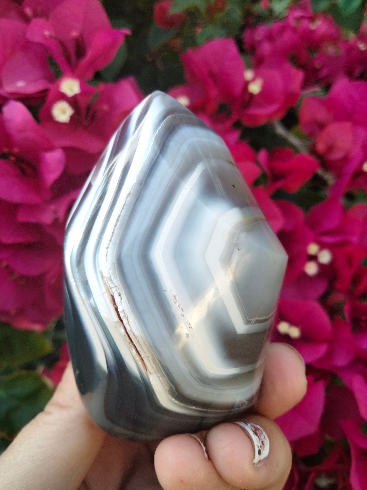 Orca Agate Flame with bands 7