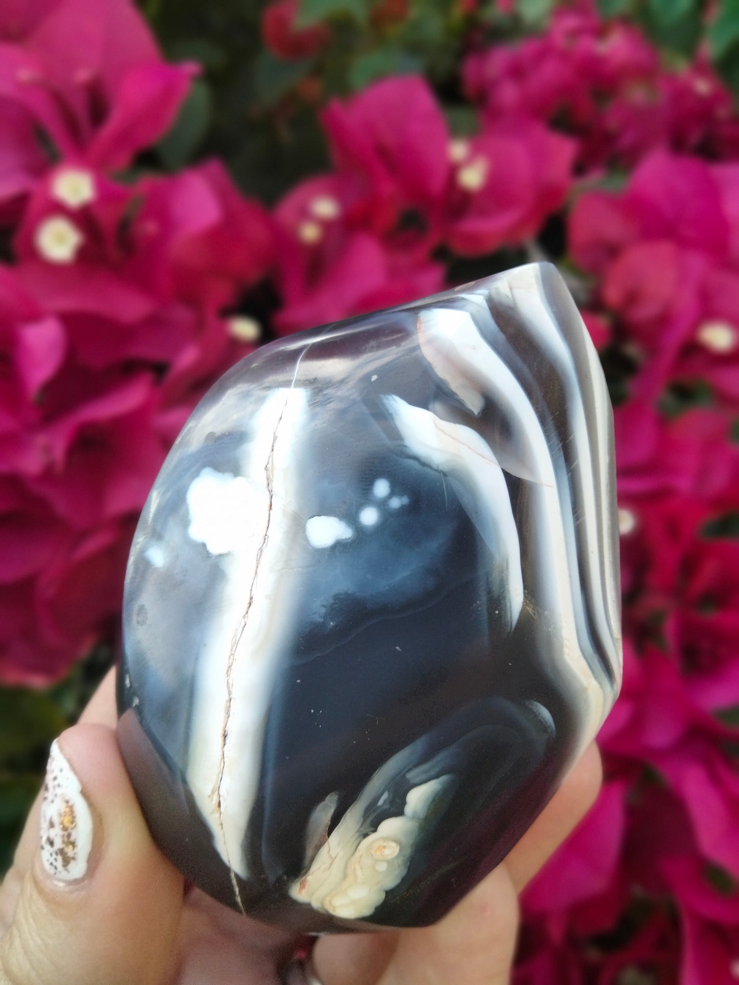 Orca Agate Flame with bands 7