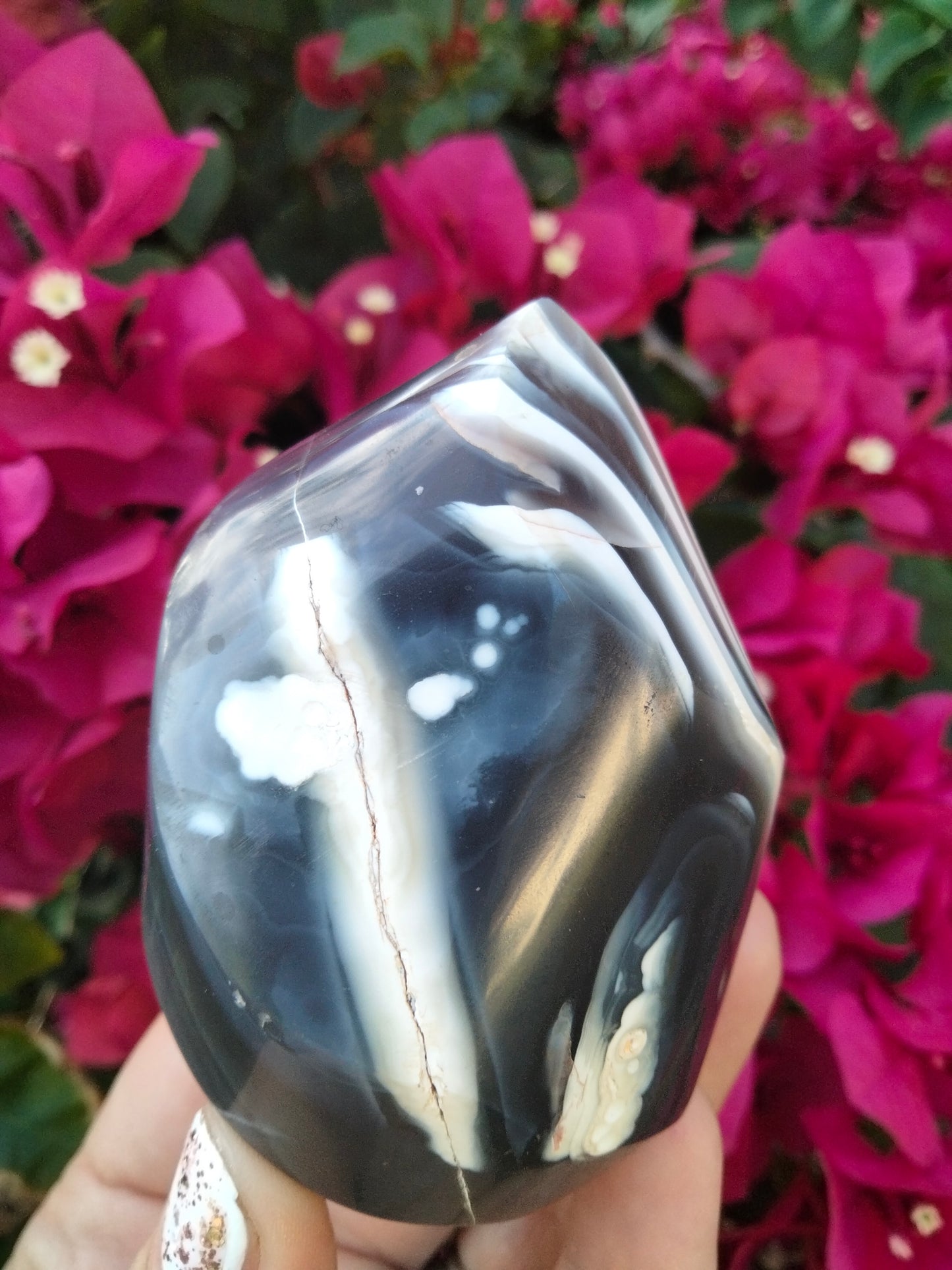 Orca Agate Flame with bands 7