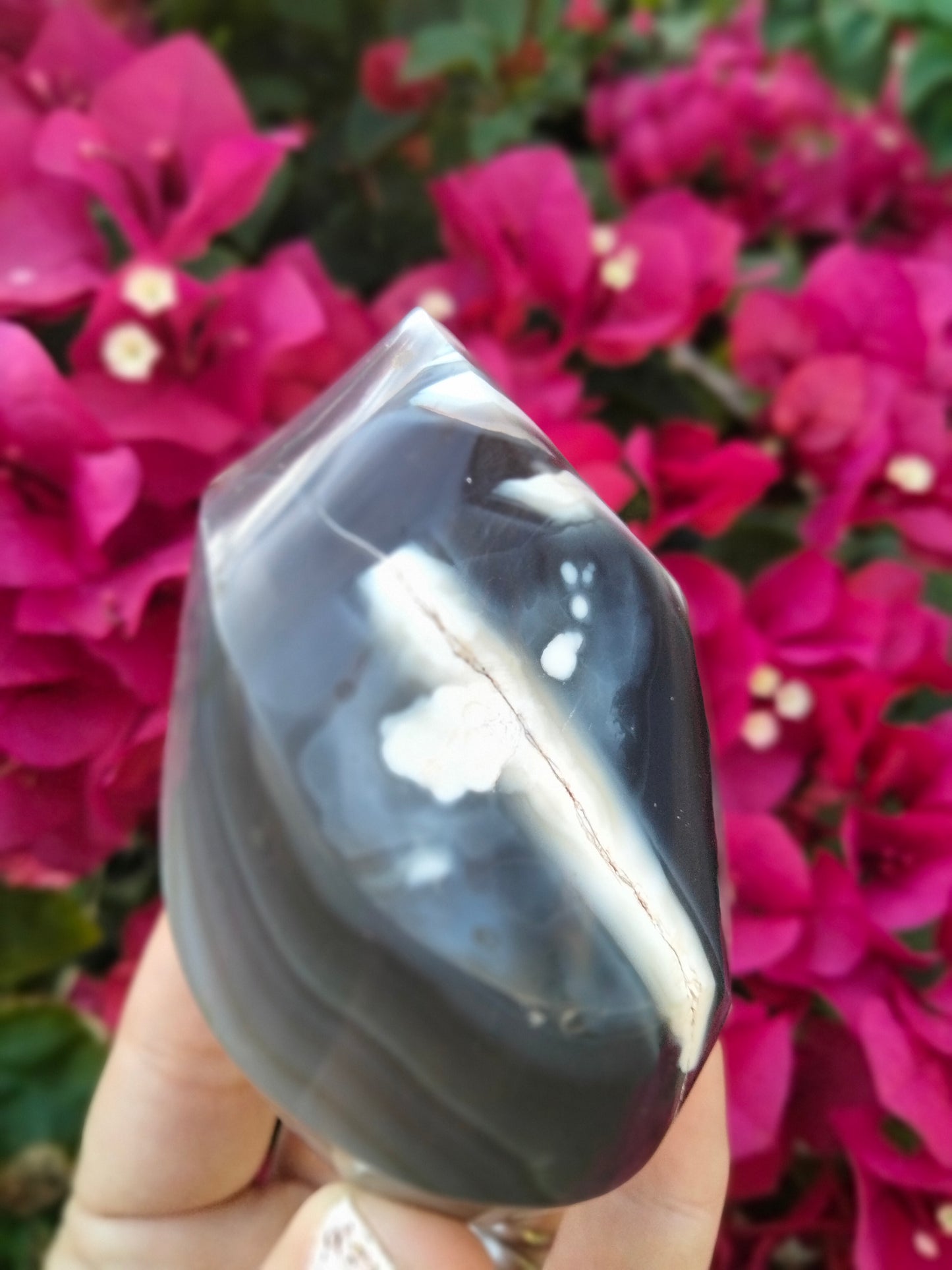 Orca Agate Flame with bands 7