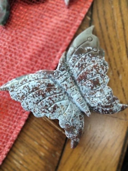 Ocean Jasper Moth