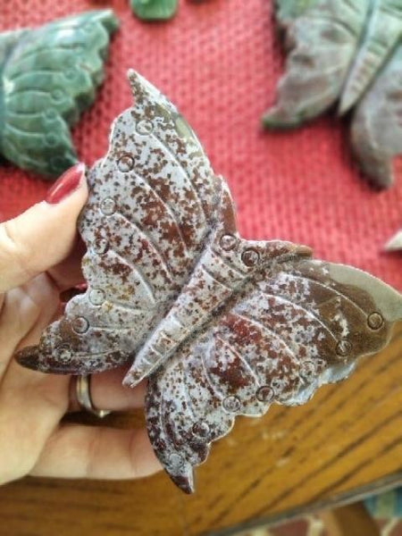 Ocean Jasper Moth