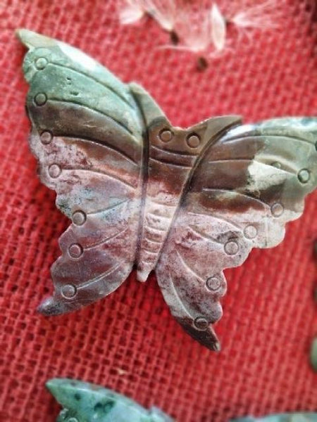 Ocean Jasper Moth