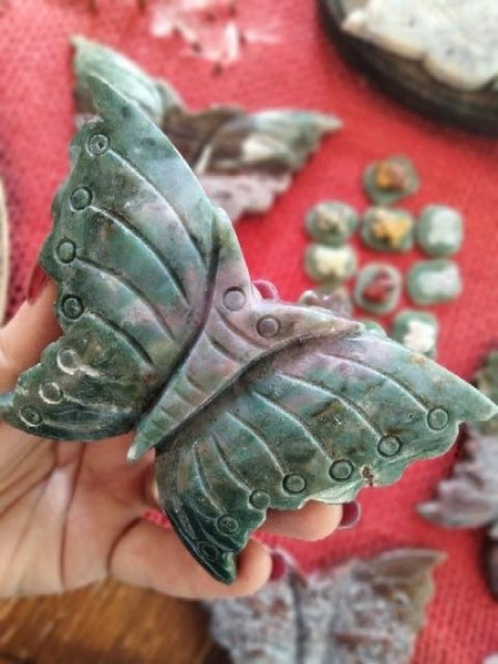 Ocean Jasper Moth