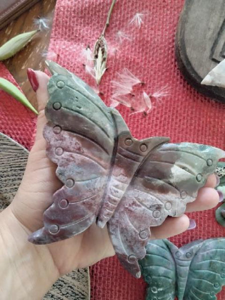 Ocean Jasper Moth