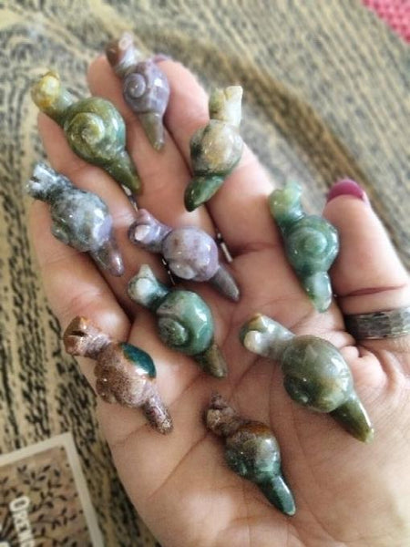 Ocean Jasper Snails