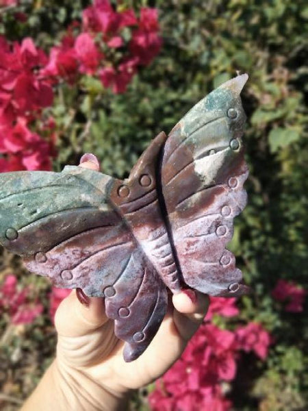 Ocean Jasper Moth