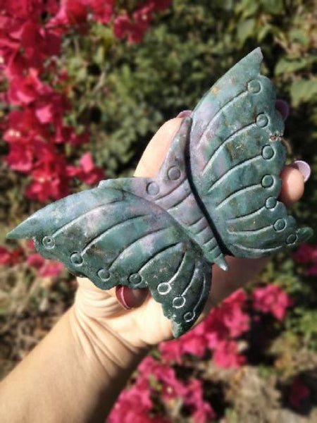 Ocean Jasper Moth