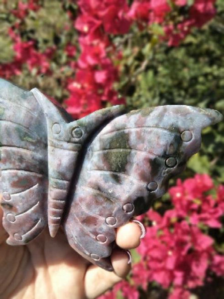 Ocean Jasper Moth