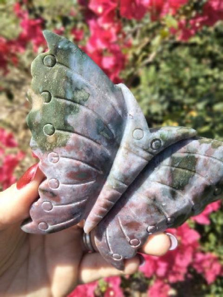 Ocean Jasper Moth