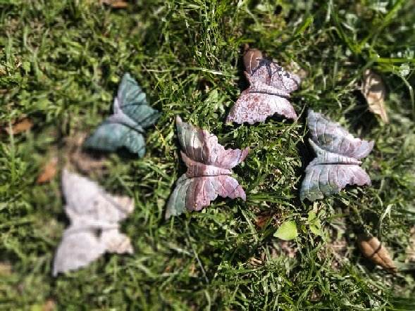 Ocean Jasper Moth