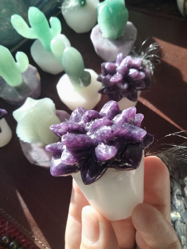 Crystal Cacti & succulent carvng