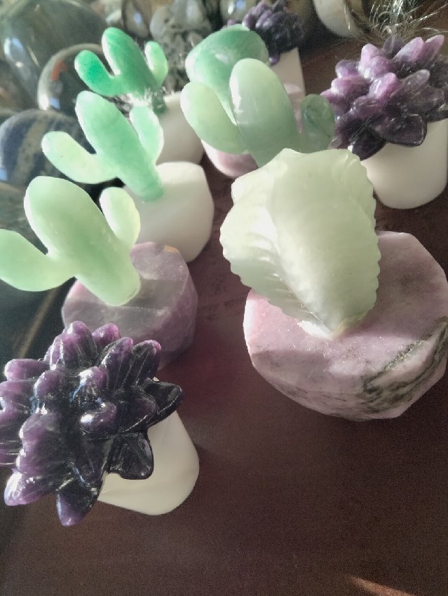 Crystal Cacti & succulent carvng