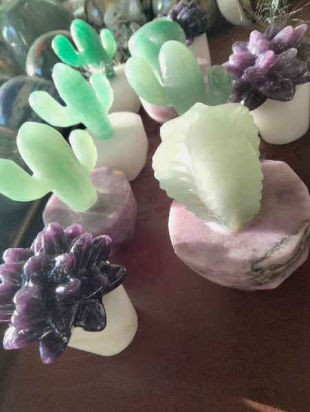 Crystal Cacti & succulent carvng