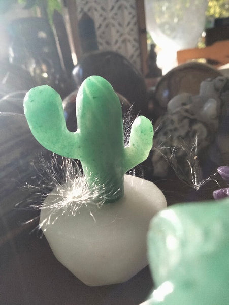 Crystal Cacti & succulent carvng